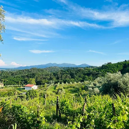 Casa vacanze Romantica *